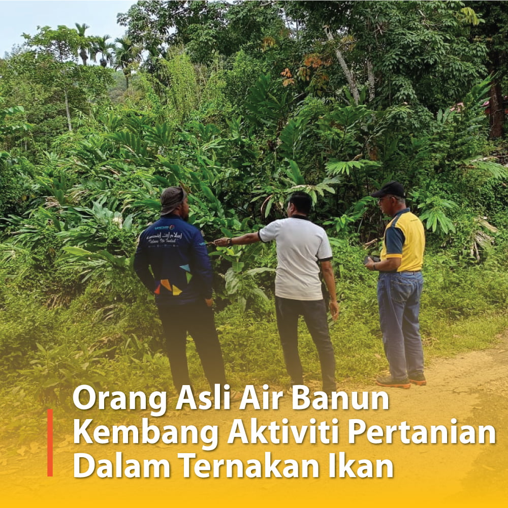 Orang Asli Air Banun Kembangkan Aktiviti Pertanian Dalam Ternakan Ikan